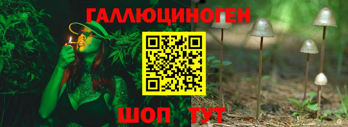 как найти наркотики  Вход с VPN  Ирбит  Псилоцибиновые грибы Psilocybine cubensis 
